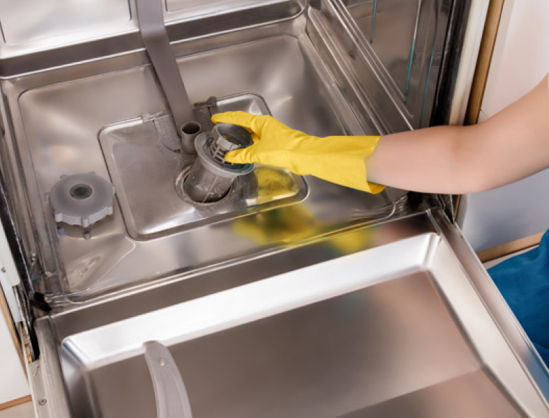 How Do You Get Rid of Mold in a Dishwasher?