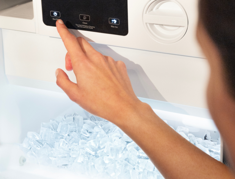 How Do You Get Rid of Mold in an Ice Maker?