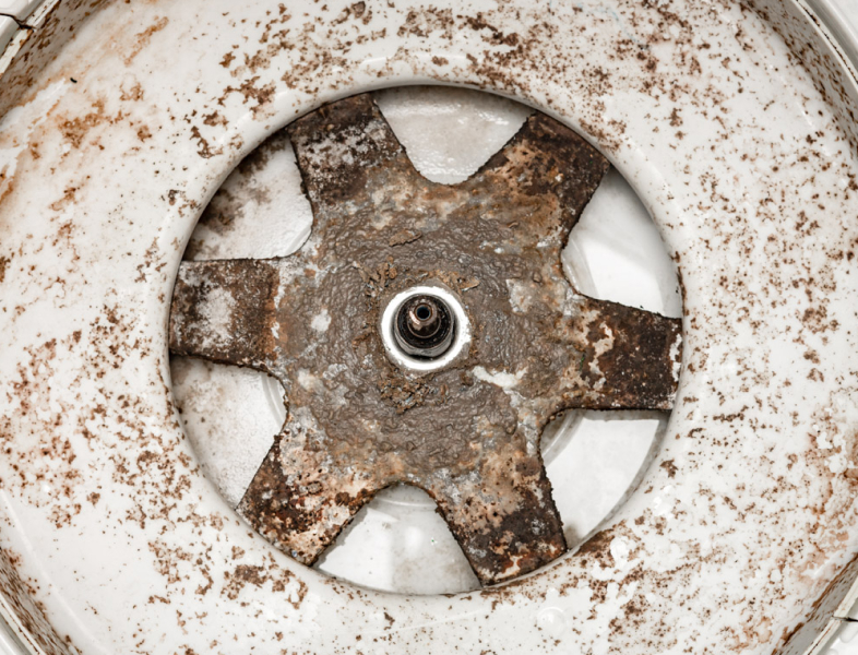 How To Remove Mold From a Washing Machine